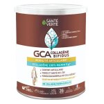 Sante verte gca collagene bifidus 390g