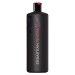 Sebastian professional penetraitt shampooing cheveux abms 1l