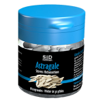 Sid nutrition - phytothrapie - astragale 30 glules de microgranules