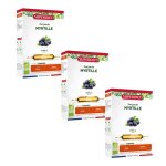 Superdiet myrtille bio lot de 3 x 20 ampoules de 10ml