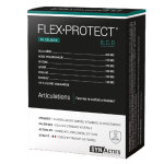 Synactifs flexprotect 60 gélules Synactifs flexprotect 60 gélules