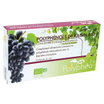 Vit'all + polyphea polyphenols de raisin bio 264mg 10 ampoules