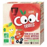 Vitabio cool fruits pomme fraise myrtille acrola bio lot de 4 x 90g