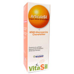 Vitasil articulatil msm 2. 0 gel 100ml