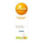 Vitasil articulatil msm 2. 0 gel 225ml