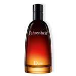 100ml - fahrenheit - eau de toilette - dior