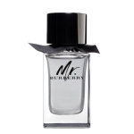 Mr. burberry - eau de toilette - 100ml burberry