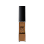 Teint idole ultra wear - all over concealer - correcteur et fond de teint 2 en 1 - tenue & hydratation ...