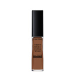 Teint idole ultra wear - all over concealer - correcteur et fond de teint 2 en 1 - tenue & hydratation ...