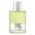 Beau de jour - eau de parfum - 100ml tom ford