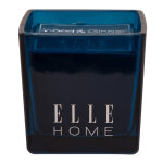 Wood & ginger - bougie parfum�e - 215gr elle home