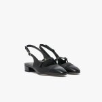 Ballerine swann
