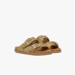 Mule youna camel