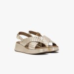 Sandales rachell platine