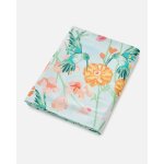 Drap plat lisa pur coton