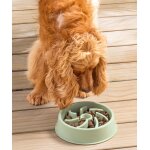 Gamelle pour animaux