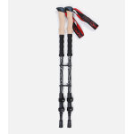 Cimalp paire de b�tons carbone t�lescopiques ultra - l�gers carbon100 - noir u - raquette � neige - trail ...