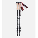 Cimalp paire de btons carbone tlescopiques ultra - lgers carbon100 - noir u - fast - hiking - raquette ...