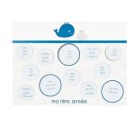 Blue baleine ple - mle ma premire anne