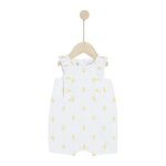 Sous le citronnier combicourt