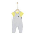 Sous le citronnier salopette + tee - shirt