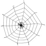 Araignée géante 14cm avec toile élastique 1m50 Araignée géante 14cm avec toile élastique 1m50
