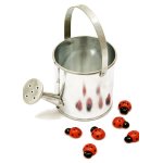 Petit arrosoir m�tal 9cm