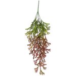 Branche d'algue, dgrad vert et rouge 80 cm