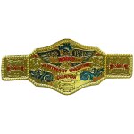 Ceinture de champion du monde (catch, boxe)