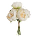 Chaks 11570 - 00, bouquet de 6 pivoines 27, 5cm blanc / cr�me
