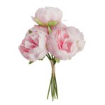 Chaks 11570 - 32, bouquet de 6 pivoines 27, 5cm, rose pastel