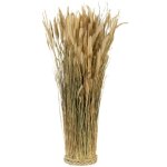 Chaks 13318, botte ronde de lagurus naturel 55cm