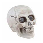 Chaks 13787, petit crane squelette en plastique 13cm