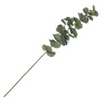 Chaks 13928, tige d'eucalyptus r�aliste avec bourgeons 69cm, vert