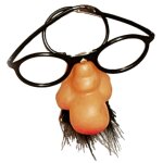 Chaks 20 250127, lunettes gros nez avec moustaches
