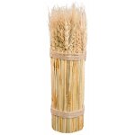 Chaks 80594, botte epi de bl naturel verticale 26cm