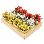 Déco composition fleurs de noël avec paquet dans pot 12cm assortie (x1) Déco composition fleurs de noël avec paquet dans pot 12cm assortie (x1)