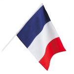 Drapeau france 30x45cm avec manche