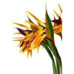 Fleur oiseau de paradis sur tige 82cm