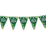 Guirlande fanions saint patrick 3m