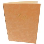 Destockage, livre d'or luxe, souple corail