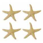 Lot de 4 �toiles de mer en r�sine 4, 5cm