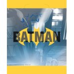 Lot 8 petits sacs cadeau anniversaire batman