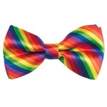 Noeud papillon multicolore