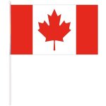 P'tit clown re23454 - drapeau pavillon canada avec manche 30x40 cm P'tit clown re23454 - drapeau pavillon canada avec manche 30x40 cm