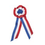 P'tit clown re33339, cocarde tricolore