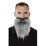 Moustache et barbe raide, grise