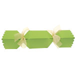 Papillotte verte (sans ruban)