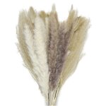 Party pro 333fs16, bouquet fourni de fleurs s�ch�es naturelles assorties 60cm