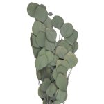 Party pro 333fs17, bouquet de feuillages de pommier vert 60 cm